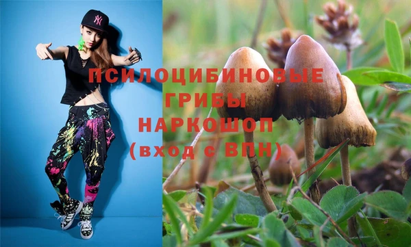 a pvp Балабаново