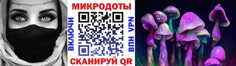 цена наркотик  Шуя  Галлюциногенные грибы Psilocybine cubensis 